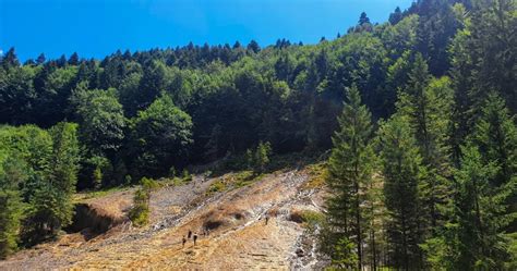 Drumeție de weekend în Vama Buzăului: Cascada Urlătoarea și。